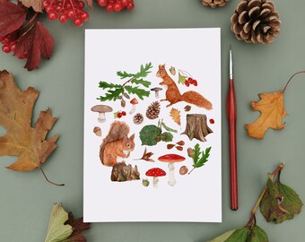 Squirrel Forage Art Print, Red Squirrel, Watercolour Art, Cottagecore Art, Nature Illustration, Home Decor, Forest Print, Fall Home Decor