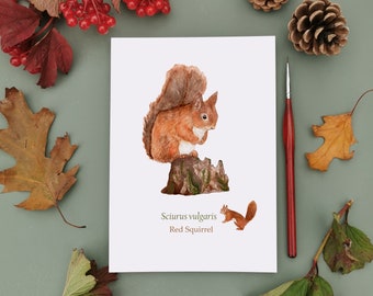 Botanical Squirrel Print, Red Squirrel Art, Watercolour Art, Cottagecore Art, Nature Illustration, Home Decor, Forest Print, Fall Home Decor