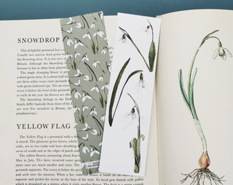 Double Sided Illustrated Snowdrop Bookmark, Flower Bookmark, Cottagecore Bookmark, Book Lover Gift, Botanical Bookmark, Snowdrop Spring Gift