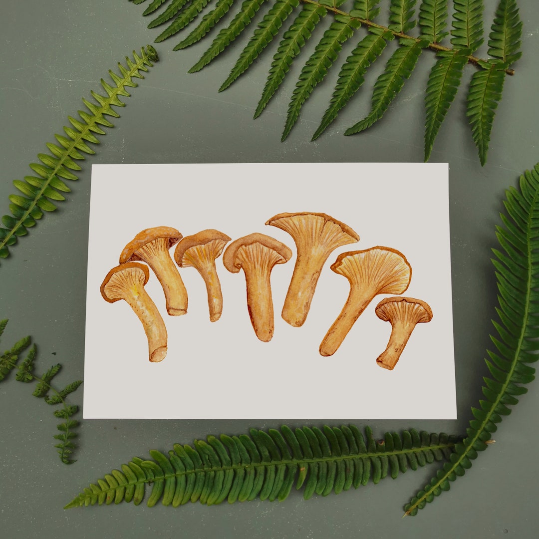 Chanterelle Landscape Art Print Mushroom Illustrated Art Etsy