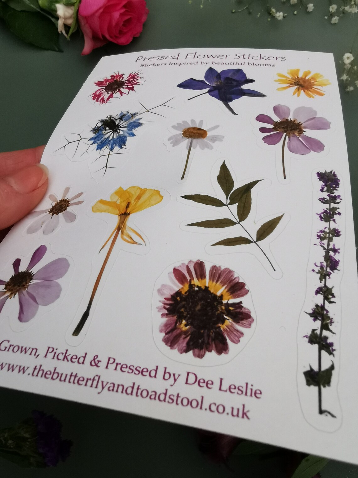 Pressed Flower Sticker Sheet Floral Stickers Cottagecore Etsy