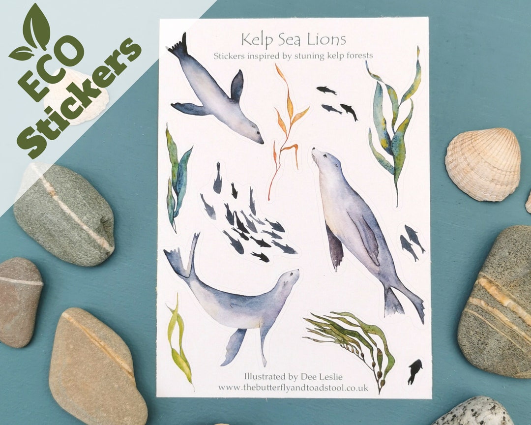 Sea Lion Stickers Marine Sticker Sheet Journal Stickers - Etsy