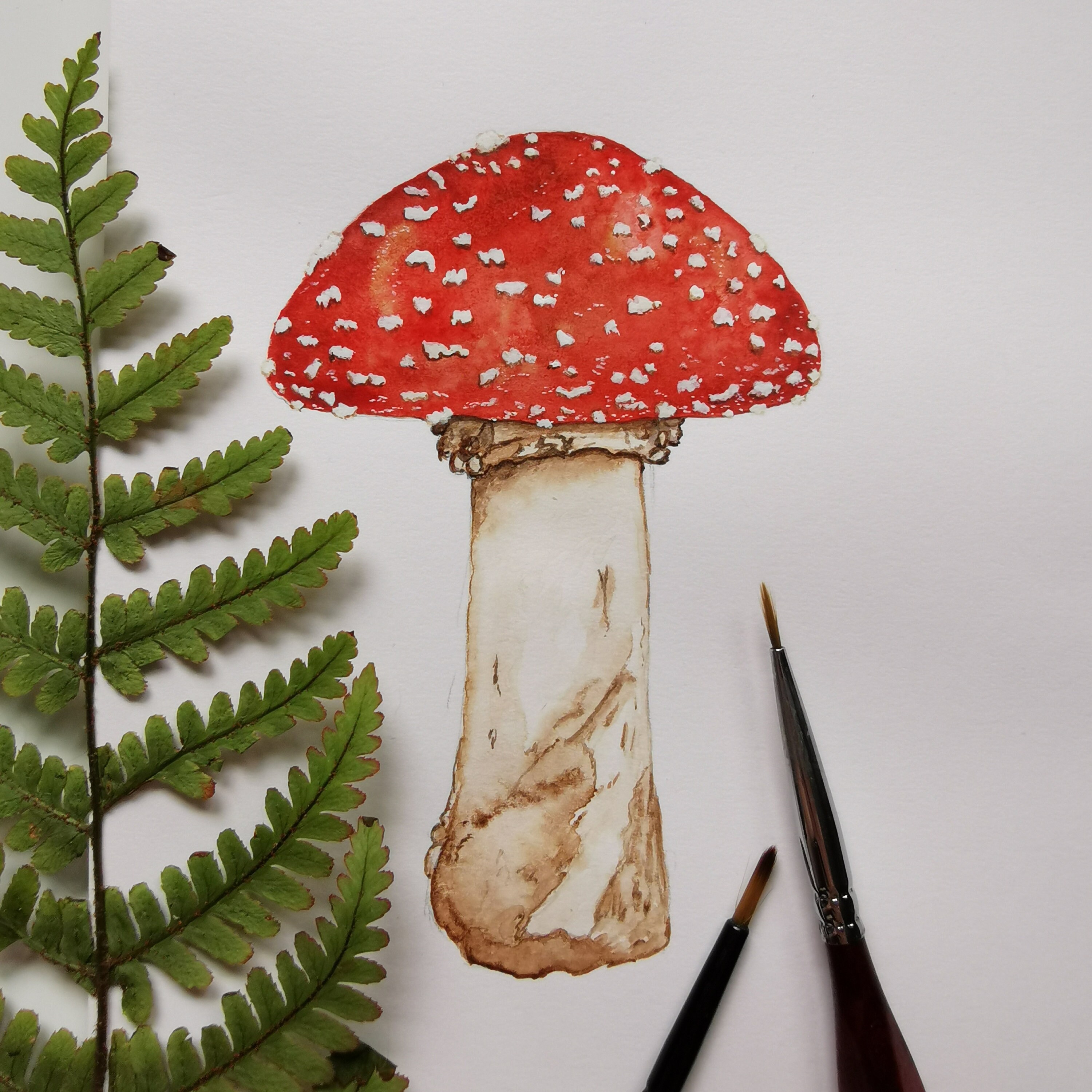 Mushroom Wrapping Paper — The Little Red House