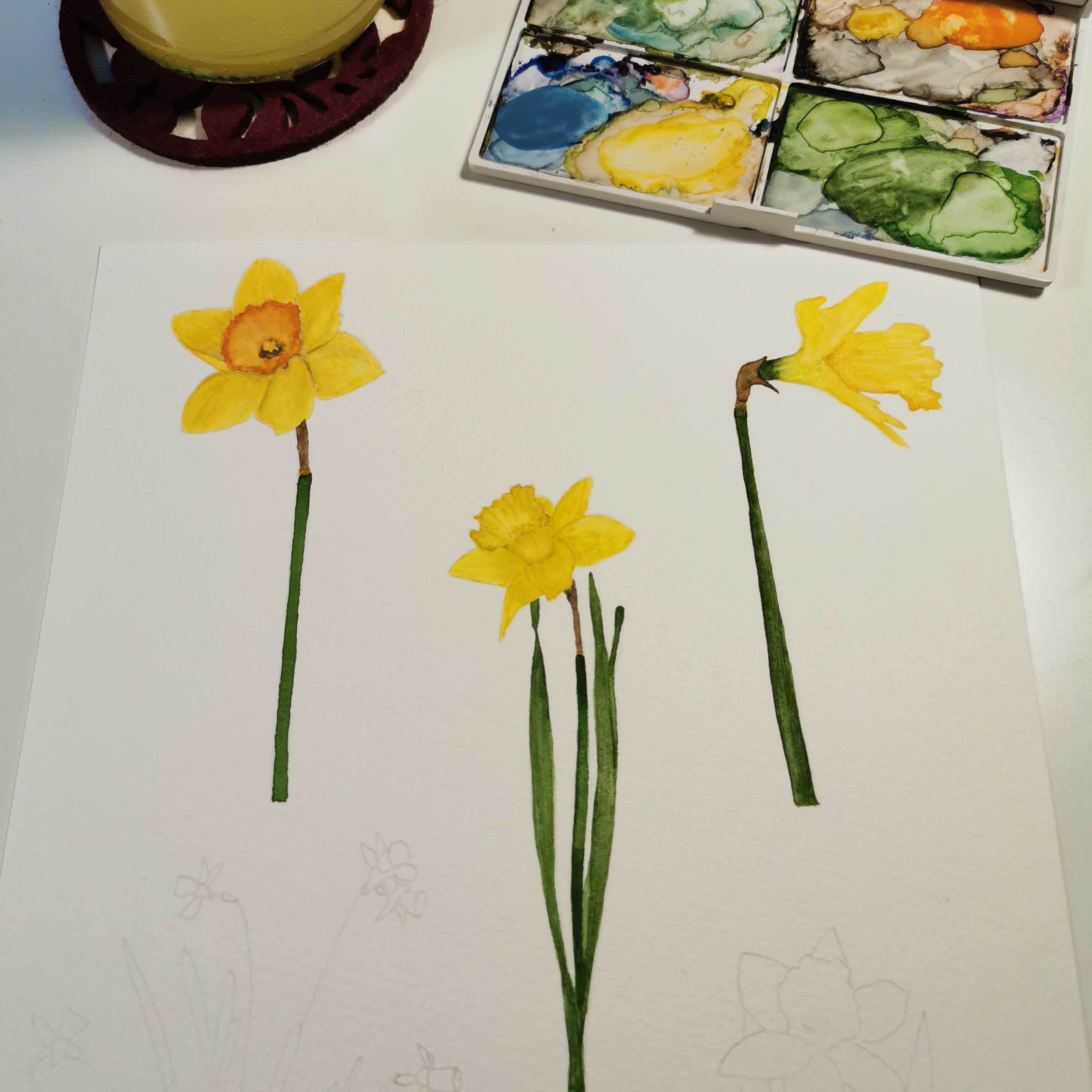 Daffodil Wrapping Paper Daffodil Gift Wrap Spring Birthday Etsy UK
