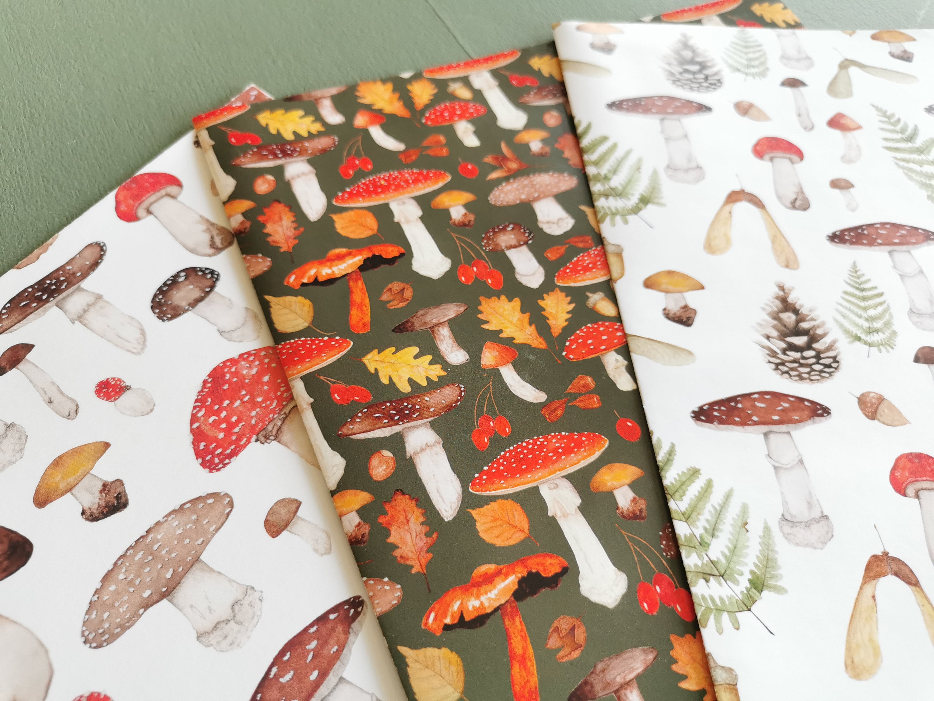 Mixed Fungi Gift Wrap for Nature Lover Mushroom Wrapping Paper Inc.  Toadstool Gift Wrap Mushroom Gift Wrap Fungi Gift Wrap 3PK 