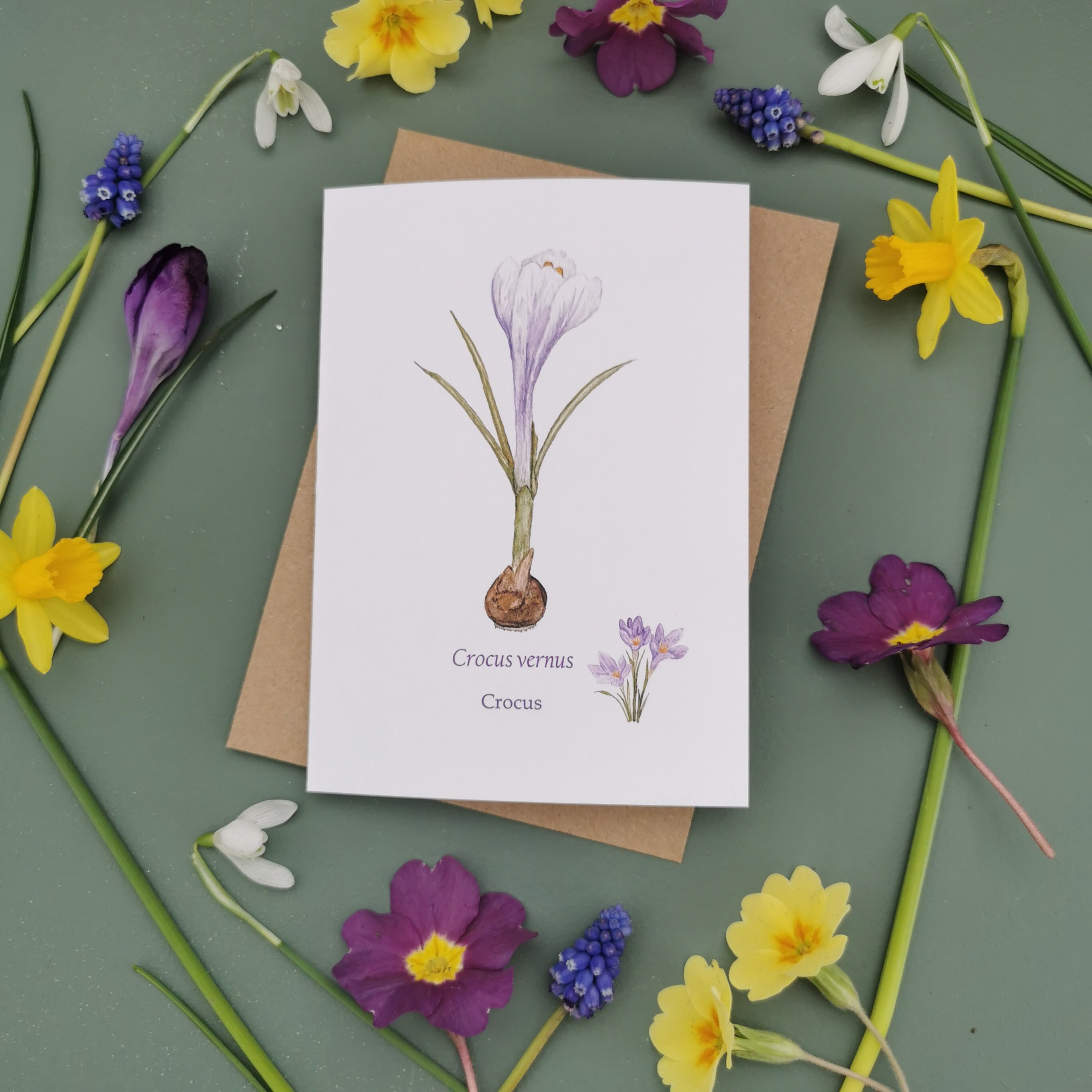 Set of 6 A6 Greetings Cards Spring Illustrated Greetings | Etsy UK