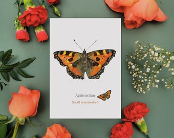 Small Tortoiseshell Butterfly Art Print, Illustrated Art Print, Butterfly Watercolour Art, Illustrated Home Decor with Butterflies, A5 & A4