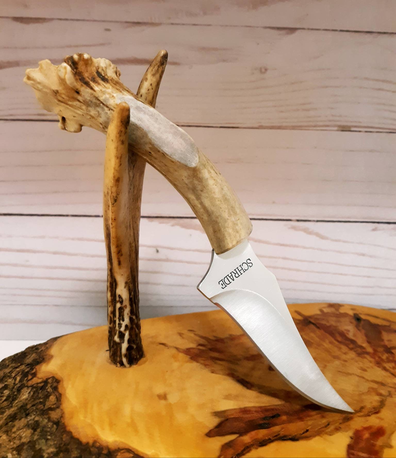 Custom Deer Antler knife handmade Skinning knife free Etsy