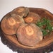 Rustic Leyland Cypress Drink Coasters! Set of 4!