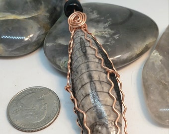 Orthoceras Past Life, Healing LIFEforce Energy Orgonite Amulet by shamanic artist Azurae Windwalker