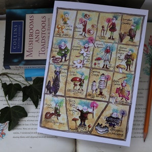 Cuaderno, Cuaderno de avistadores de hongos, Hongos, Micología, Hongos venenosos, Micelio, Gnomos, Educativo, Reciclado, Conoce los micelios