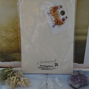 May include: A white card with a brown and gold sticker on the front. The sticker has a bird and the text "Dreamy Fairies". The back of the card has the text "Transformations" and "DreamyFairies" in black ink.