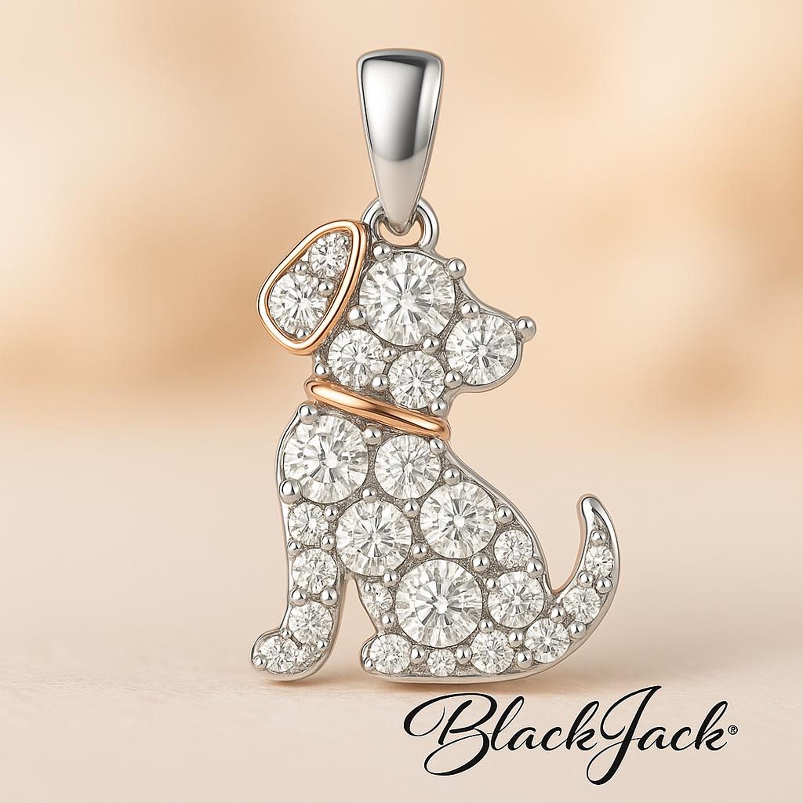 Dog Ashes To Diamond