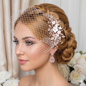 May include: A bride with a white birdcage veil and a decorative hairpiece. The hairpiece includes white flowers, crystals, and rose gold details. Matching teardrop earrings are also visible. The hairstyle is a braided updo.