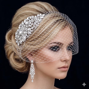 Birdcage Veil and Comb, Bird Cage Veil, Blusher, Bridal Comb, Silver Gold Burgundy Champagne Bridal Hair Accessory Crystal Bachelorette Veil