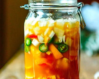 Fire Cider Guide | Easy Home Fermentation (Instant PDF Download)