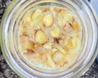 Ginger Bug Guide | Easy Home Fermentation (Instant PDF Download)