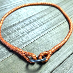 Kangaroo Braided Dog Tag, I/D Collar, Fixed Hound House Collar In Custom Colors, Shimmer Orange