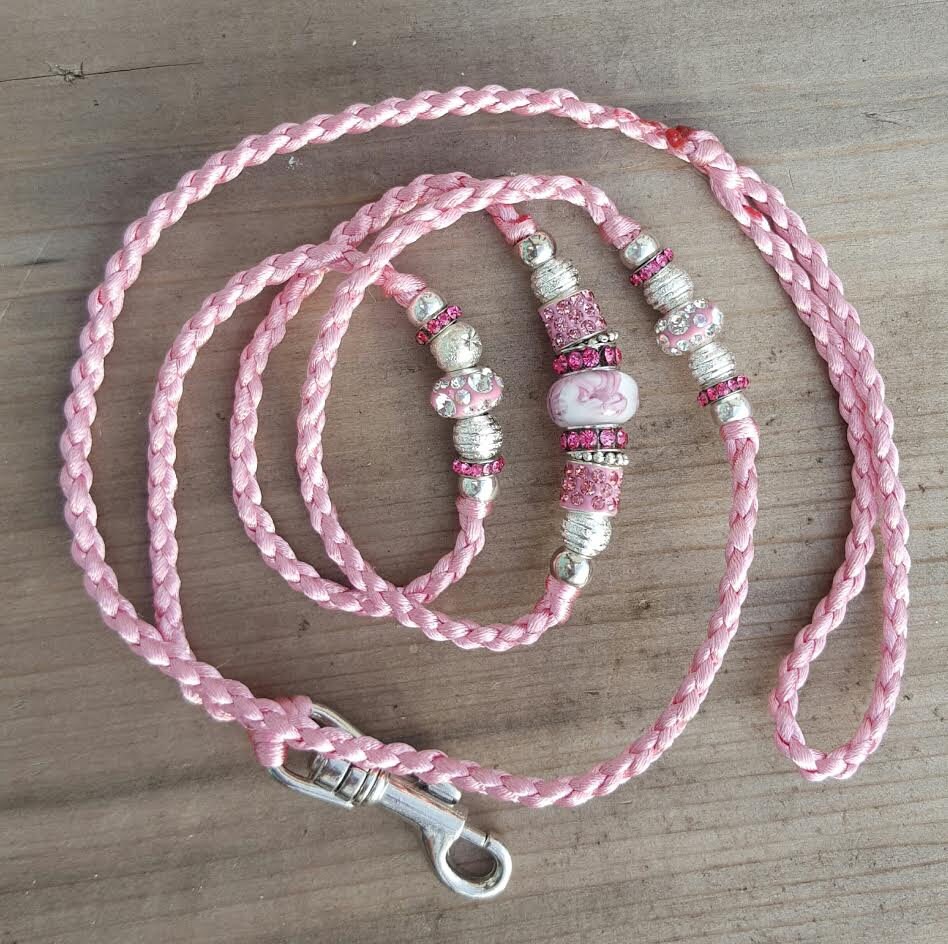 Conformation Dog Leads Etsy