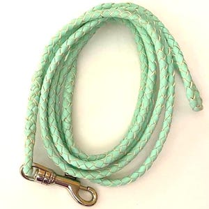 May include: A mint green braided leather leash with a silver-colored metal clasp. The leash is coiled and lies on a white surface. The braided design features a gold-colored accent.