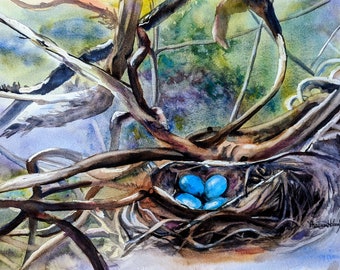 Robin egg nest watercolor painting, spring original artwork