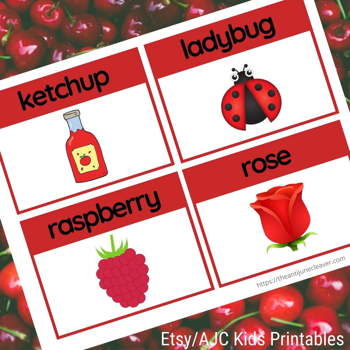 What things are red set of 16 red words flashcards educational