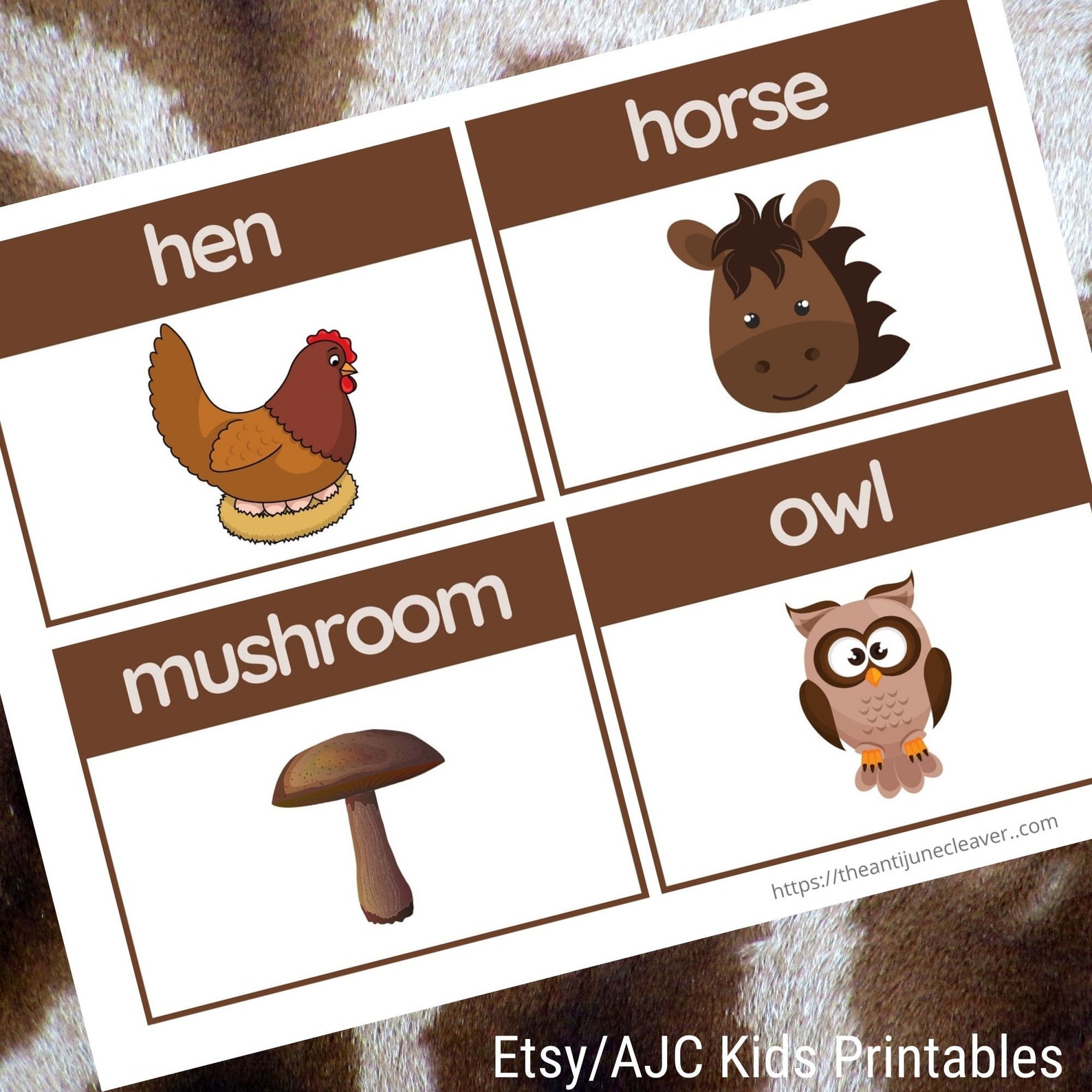 What Things are Brown Set of 16 Brown Words Flashcards - Etsy España