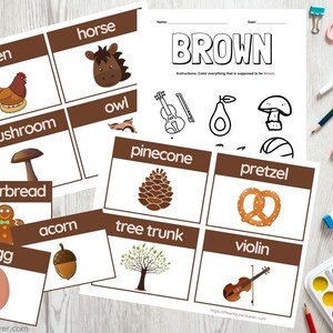 Learning About Colors Flashcards (BROWN) for Preschool & Kindergarten