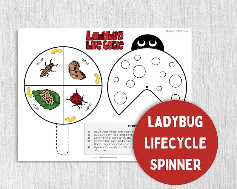Ladybug Printable Worksheets for Kids - Educational Activities ...