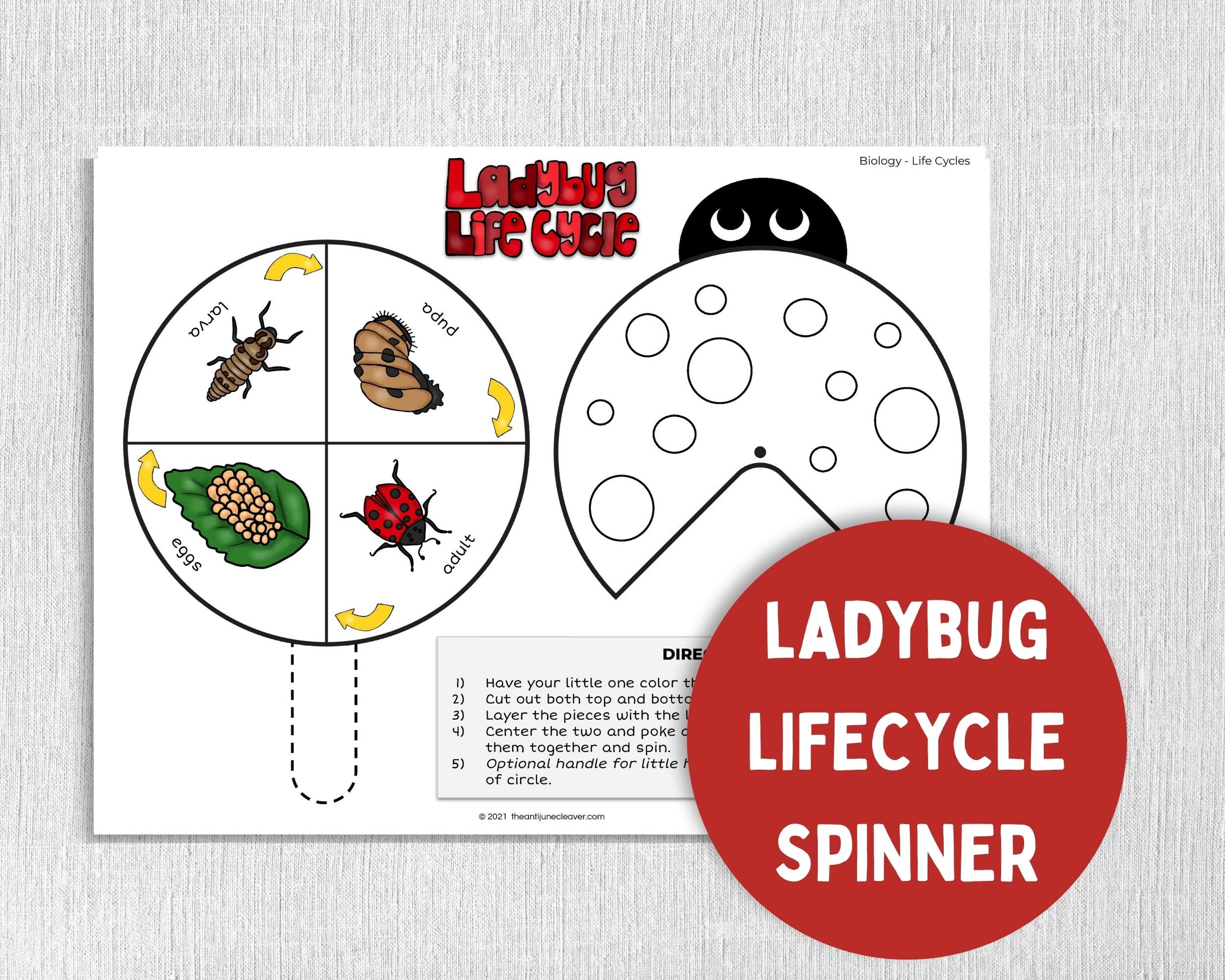 Ladybug Printable Worksheets For Kids Educational Activities Etsy