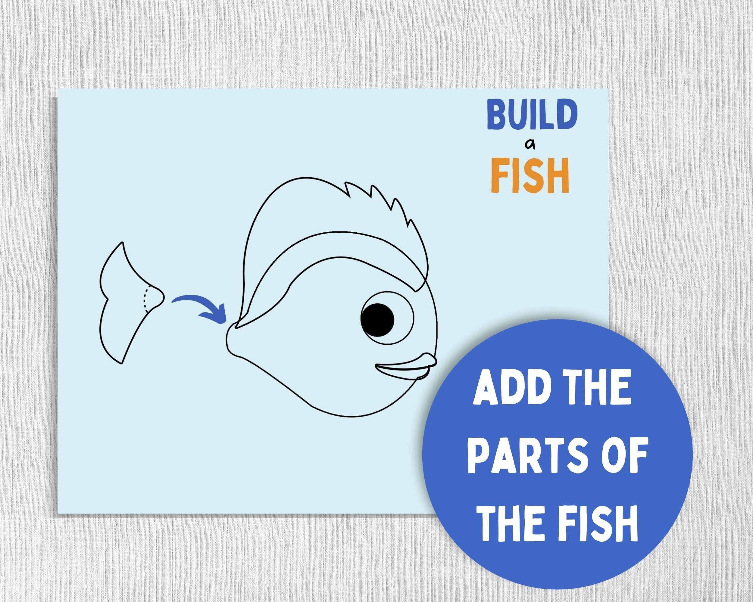 Parts of a Fish Kids' Activity Worksheet Printable Etsy Australia