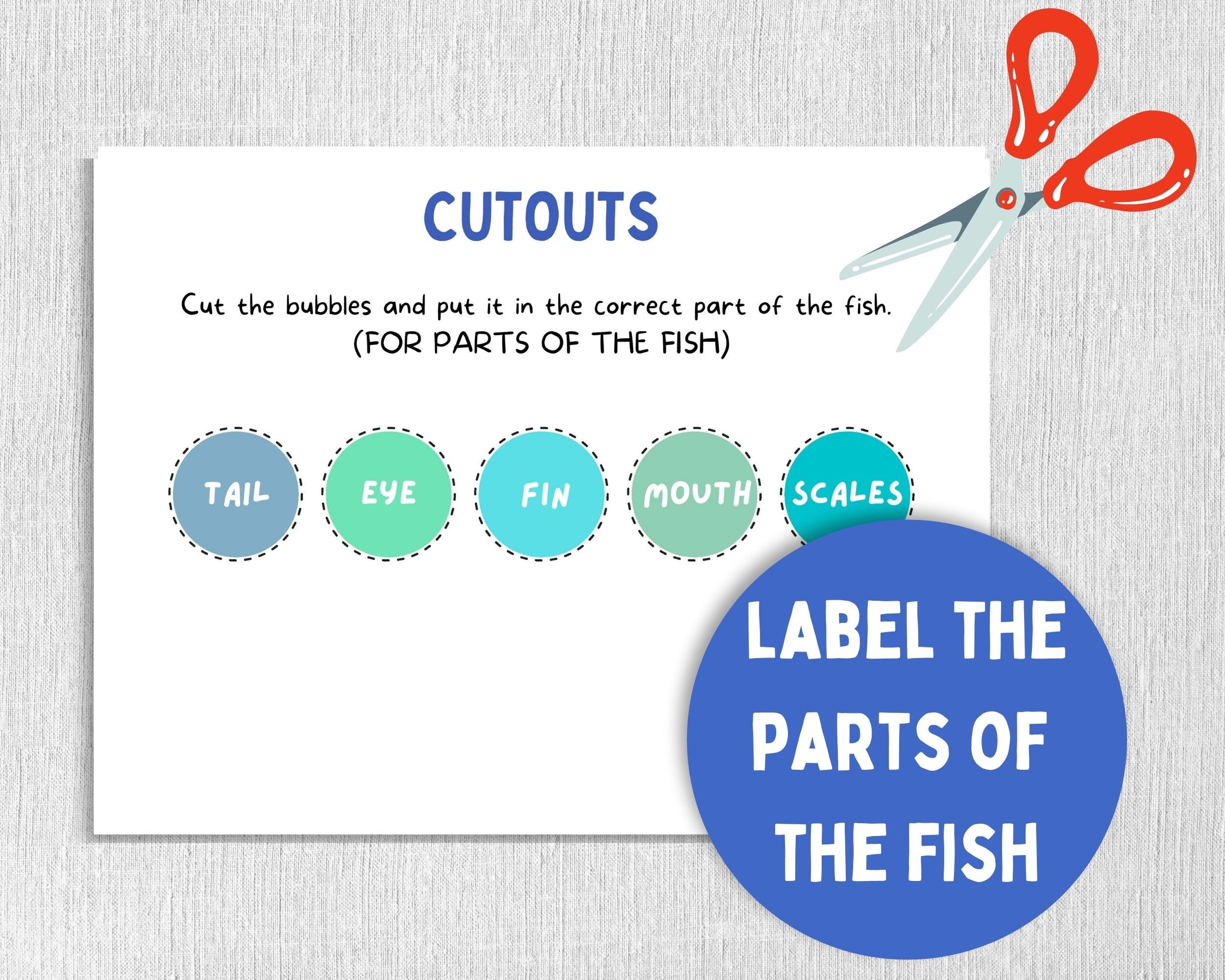 Parts of a Fish Kids' Activity Worksheet Printable | Etsy