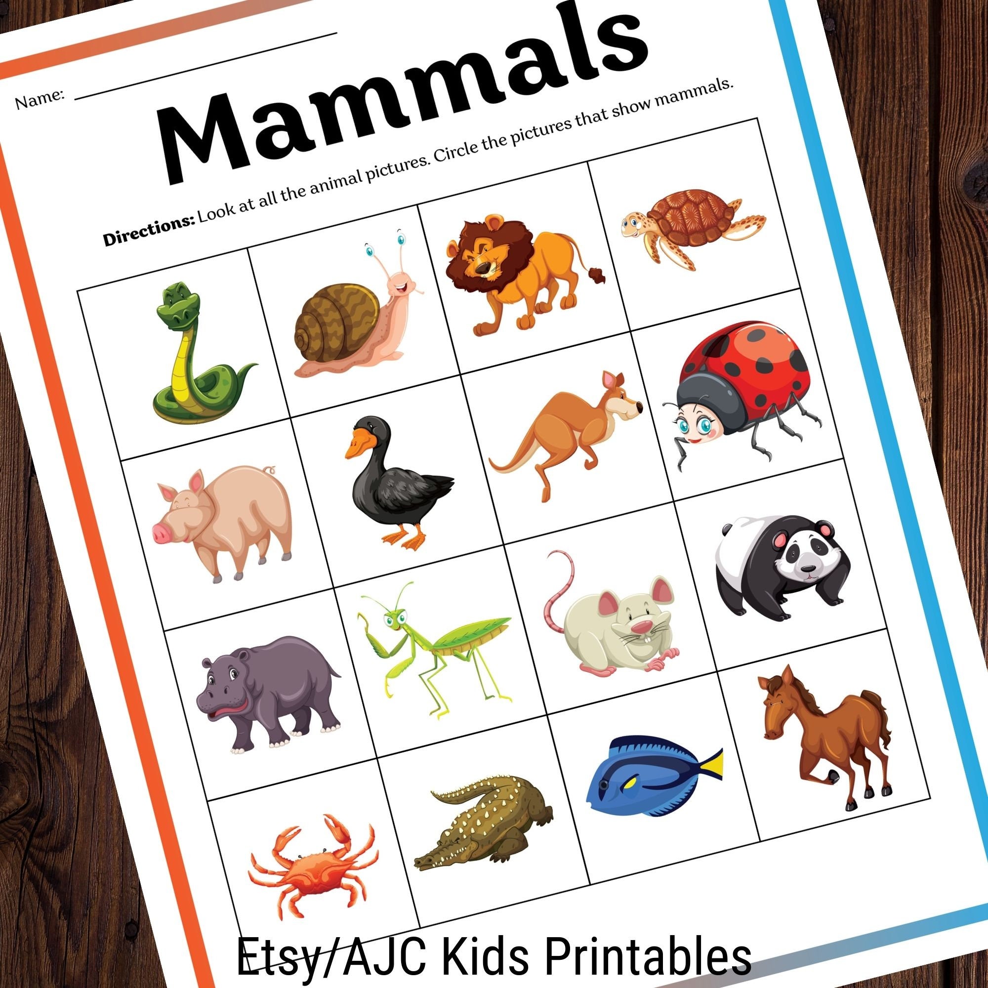 Mammals Animals Printable Activity Worksheets for Kids | Etsy