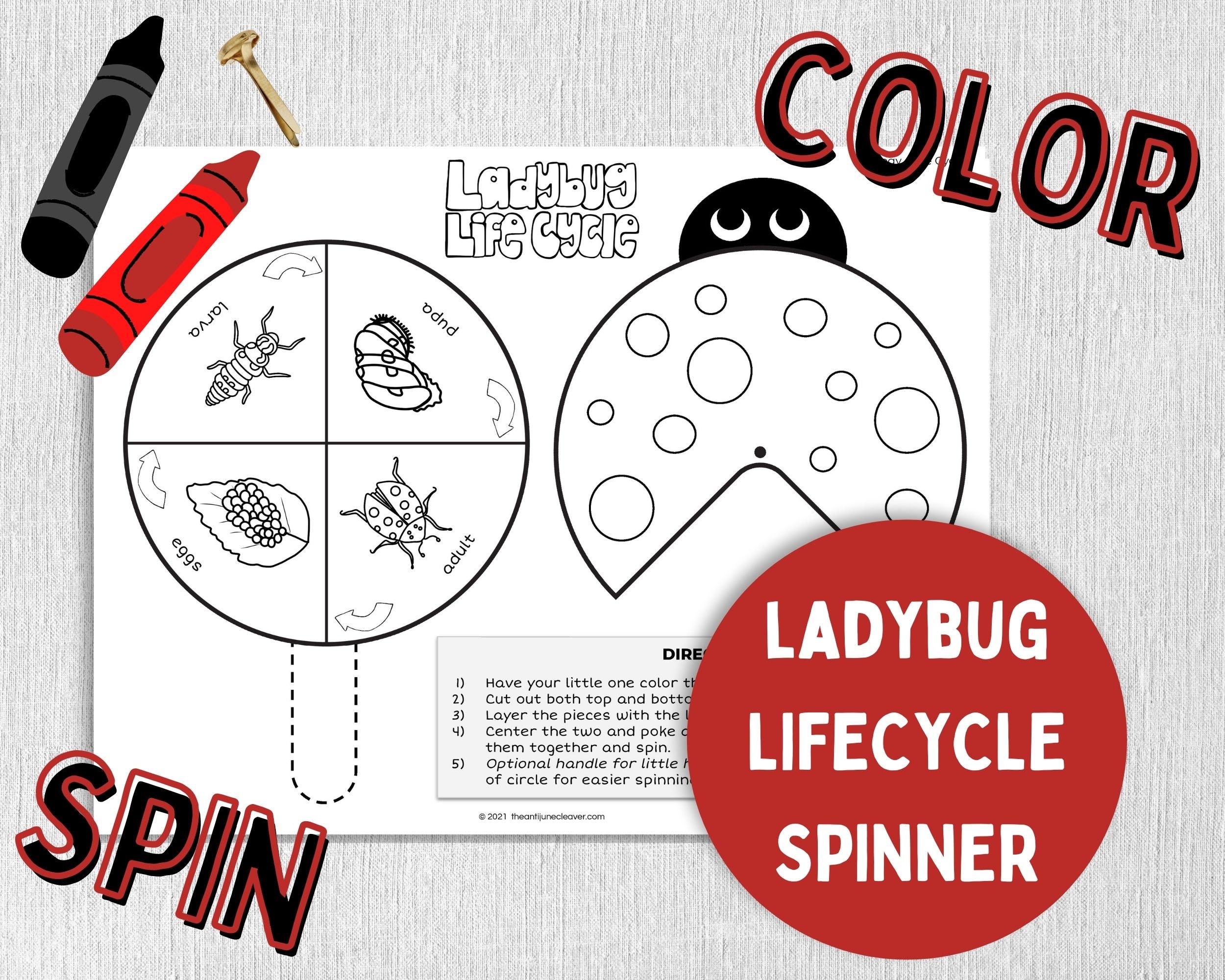 Ladybug Printable Worksheets for Kids Educational Activities | Etsy