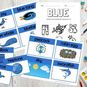 Learning About Colors Flashcards (BLUE) for Preschool & Kindergarten