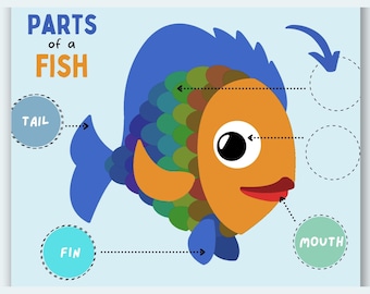 Parts of a Fish Kids&#39; Activity Worksheet Printable