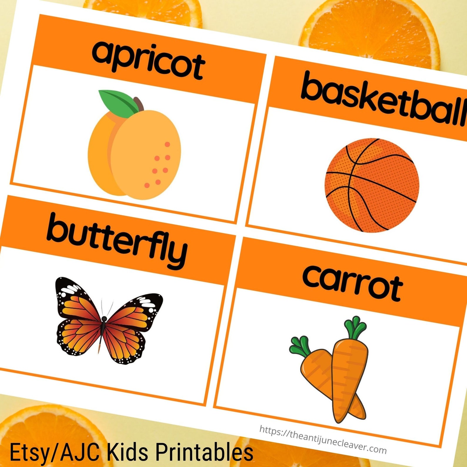 What Things Are Orange Set of 16 Orange Words Flashcards Etsy