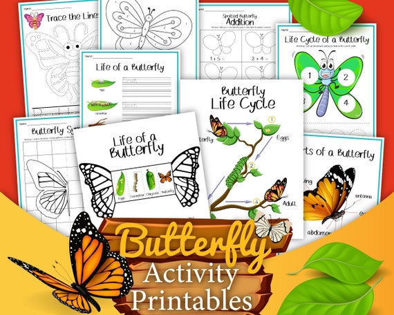 Butterfly Printable Worksheets for Kids  Educational