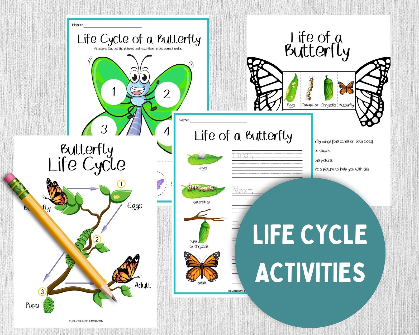 Butterfly Printable Worksheets for Kids - Educational Activities ...