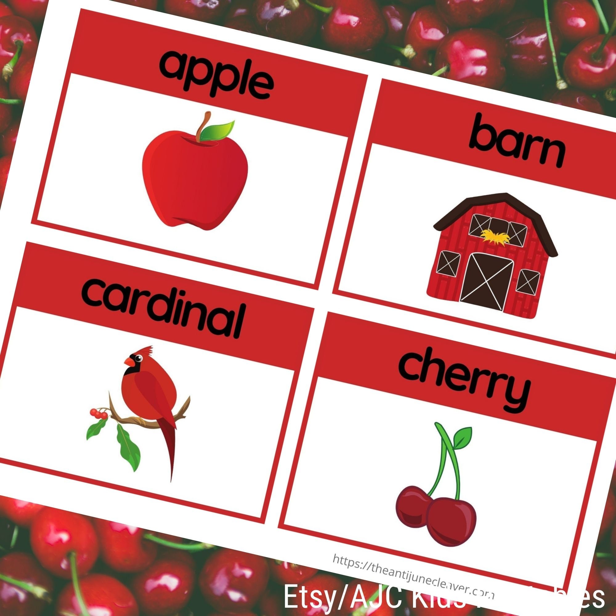 What Things are Red Set of 16 Red Words Flashcards Etsy.de