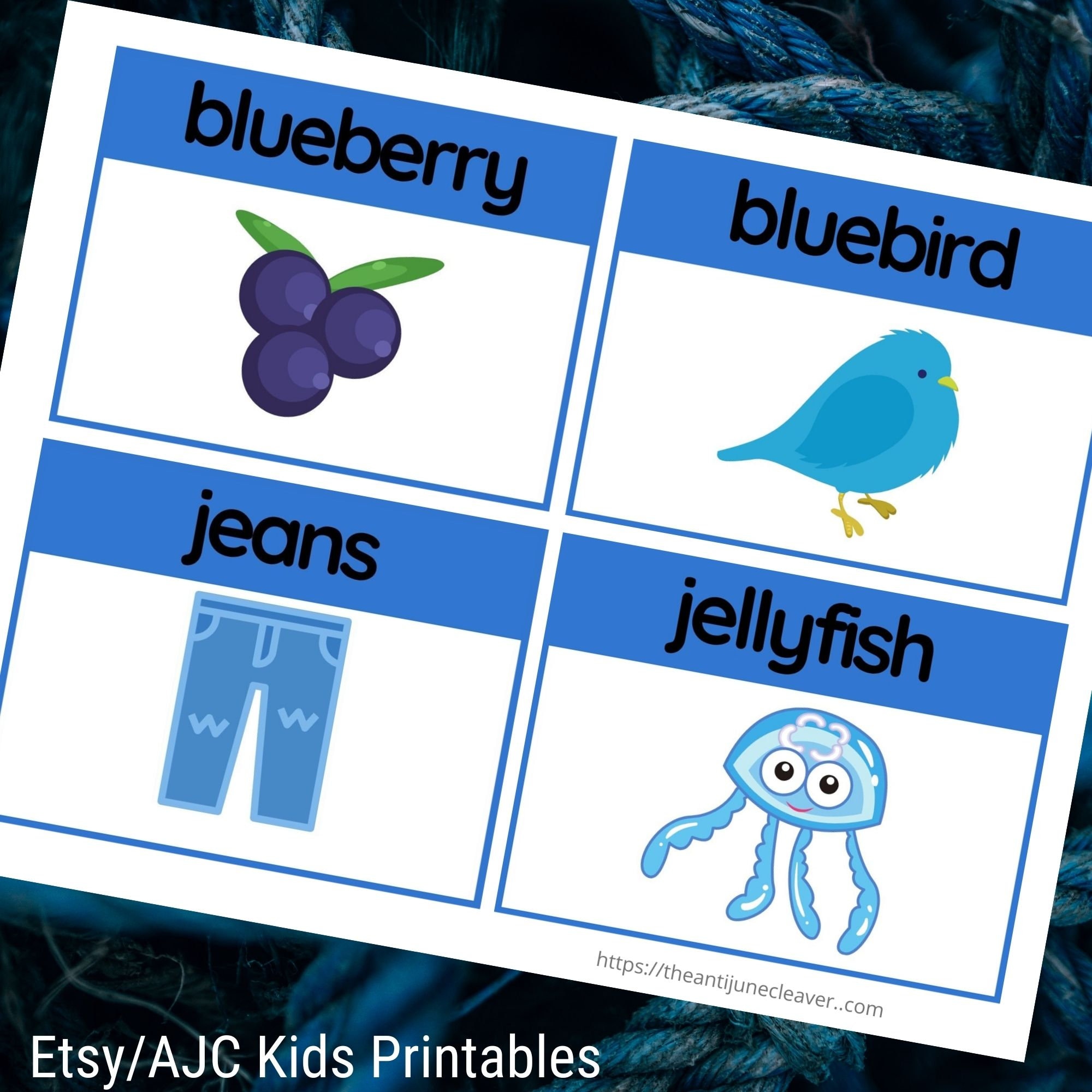 What Things Are Blue Set of 16 Blue Words Flashcards Educational