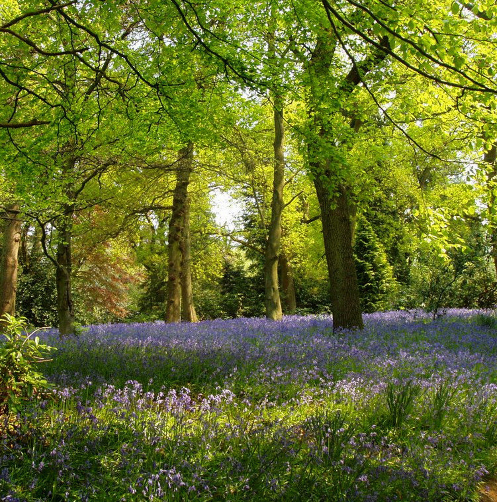 Sale Spring 10. Best of Spring Collection Etsy