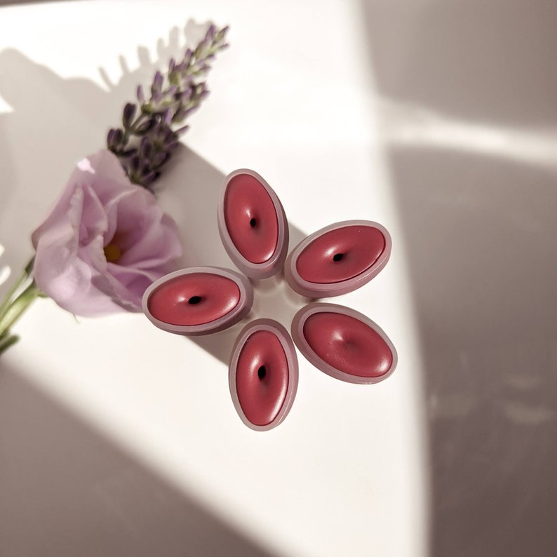 Puede incluir: Cinco objetos ovalados de color rojo rosado con un agujero central, dispuestos en forma de estrella, cada uno con un borde rosa p&aacute;lido. Una ramita de lavanda y una flor de color violeta claro se colocan sobre una superficie blanca.