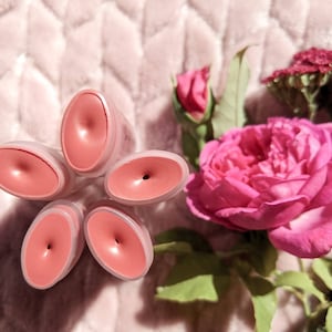 Sweet Peach | a deep red and pink tinted lip balm | made with rose infused sunflower oil