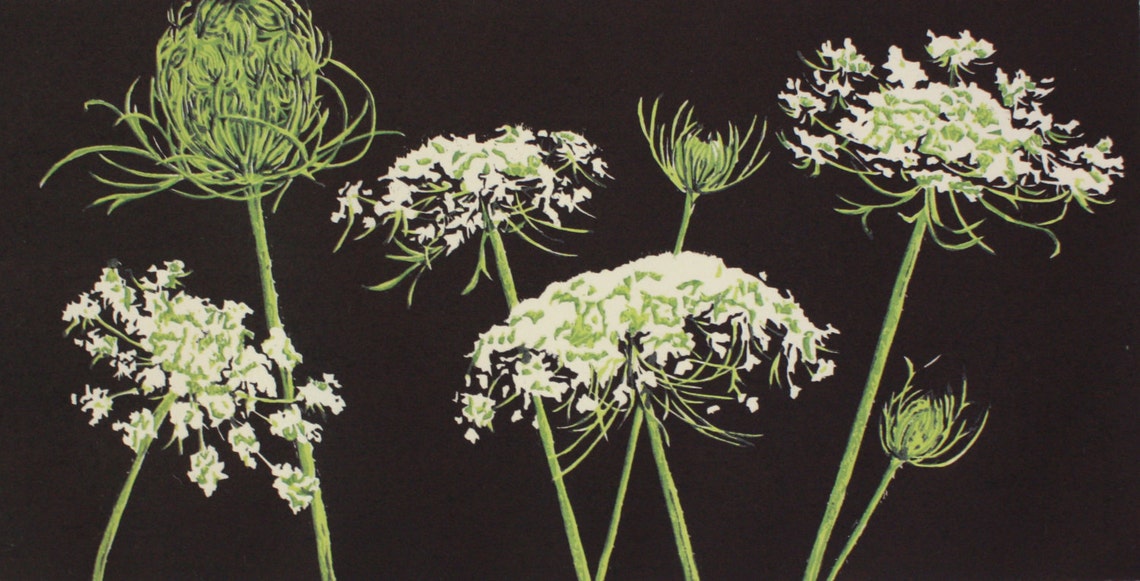 Queen Anne's Lace Etsy