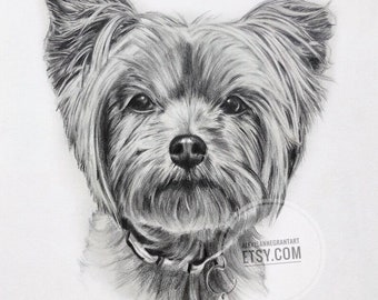 Custom Dog Drawing, Portrait From Photos, Custom, Pet Sketch, Personalized Art, Rainbow Bridge