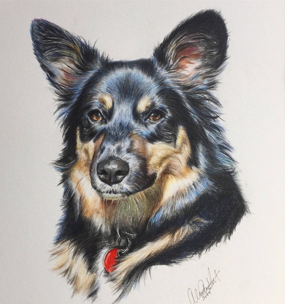 Portrait Realiste Danimal Familier Dans Le Crayon Colore Etsy