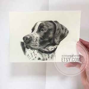 Pet Drawing Custom Art Pencil Drawing Dog Drawing Pet Portrait Cat Portrait Personalized Art From Picture