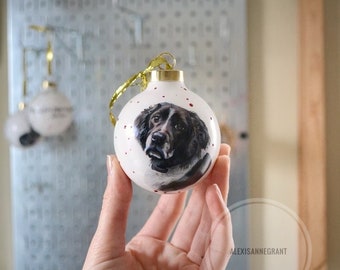 Christmas Tree, Custom Ornaments, Family Gift, From Photo, Family Gatherings, Memories and Tributes, Holiday Decor, Pet or Home Portrait