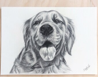 Realistic Pet Portrait Drawing in Black and White Graphite Pencil